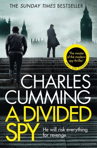 Divided spy - (paperback),