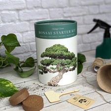 Bonsai Starter Kit Grow Your