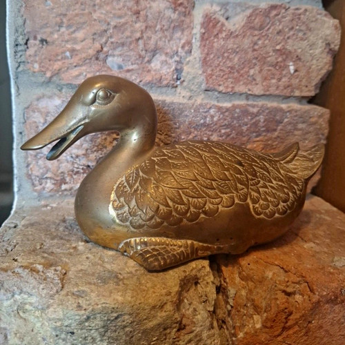 Brass duck mallard - duck,