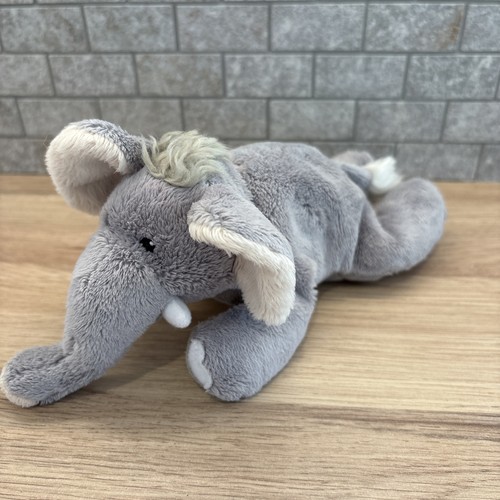 Summer infant baby elephant - infant,