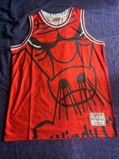 Chicago Bulls M&N NBA HardWood