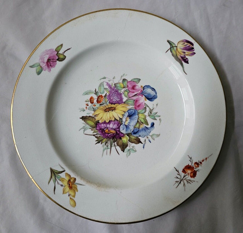 Early crown derby hand painted - derby,