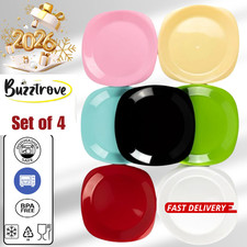 Reuseable plastic plates - reuseable,