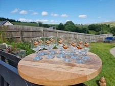12 X Vintage Glasses with Pheasant Decoration.