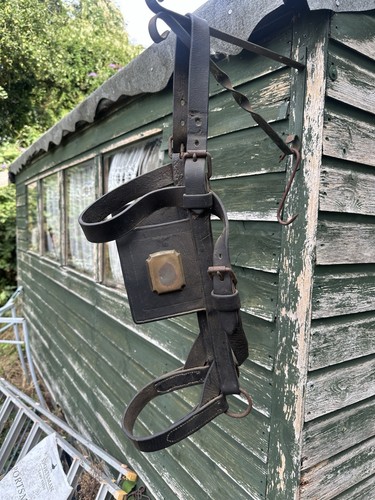 Antique blinkers shire - blinkers, horse