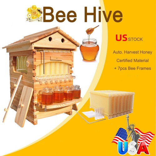 Auto seep full set - auto,