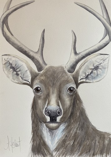 Stag original not a - a3,