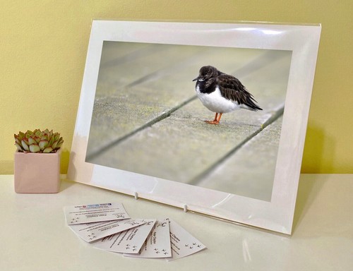 Art print image picture - image,
