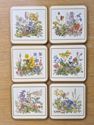 Pimpernel meadow flowers - (6x),