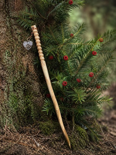 Yew tree magical wand rose - tree,