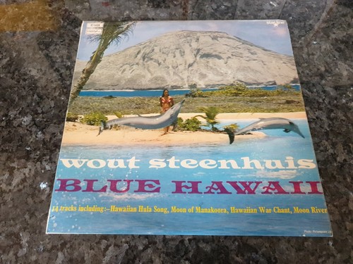 Wout steenhuis blue - wout,