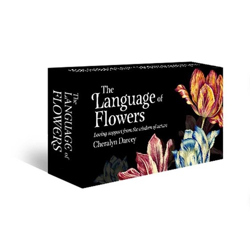 Cheralyn darcey the language - cheralyn,