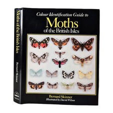  Colour Identification Guide