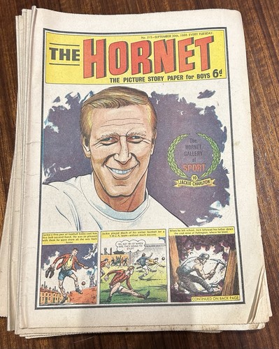 The hornet comic - hornet, comic.