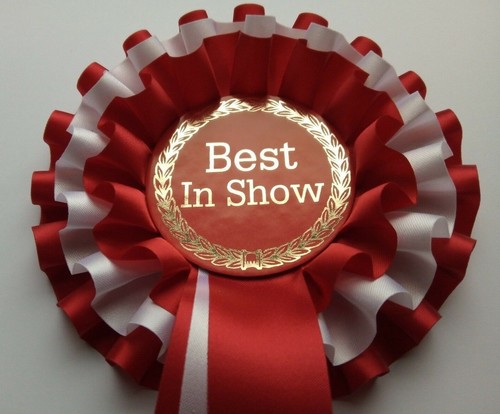 Best show rosettes tier - in,