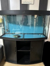 Juwel Vision 260 Curved