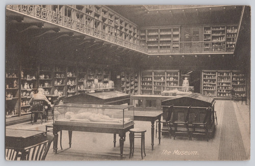 The museum interior display - the,