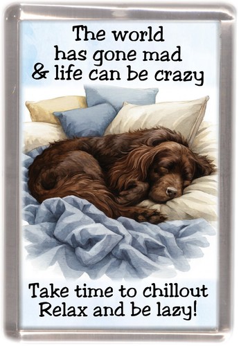 Field spaniel dog - spaniel, fridge