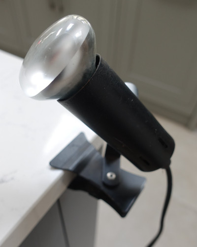 Vintage osram wotan - osram, lamp