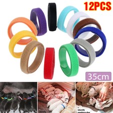 Set of 12 Puppy Adjustable