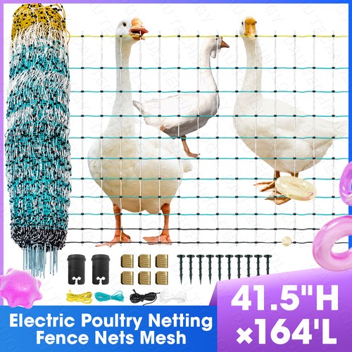 Poultry netting electric - electric, fence