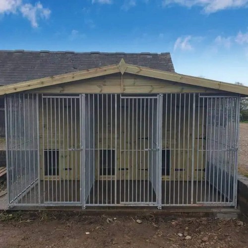 Triple dog kennel - ft, |