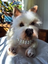 Handmade needle felting dog