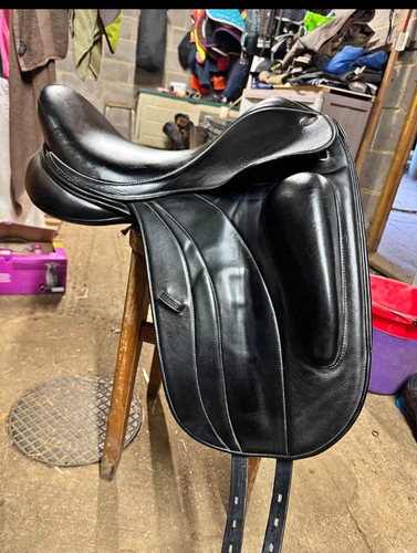 Fairfax rebecca dressage - rebecca,