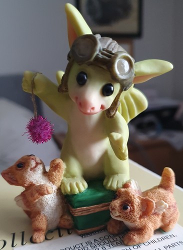 Pocket dragons real - pocket,