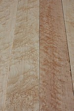 Birdseye maple bass - bass, guitar