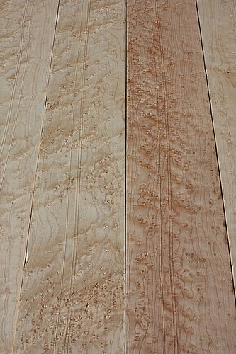 Birdseye maple bass guitar - maple,