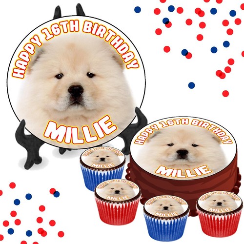 Chow puppy - chow,