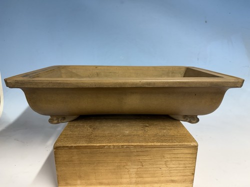 Unglazed tokoname bonsai tree - bonsai,