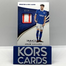 Brighton ADAM LALLANA MATCH