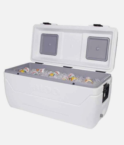 Igloo maxcold large 165 - maxcold,