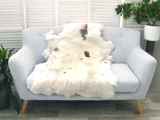 Genuine WHITE ALBINO REINDEER