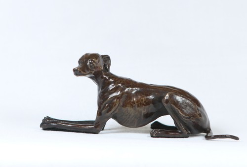 Whippet cross leg - whippet,