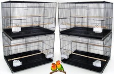 Lot of 4 Large Aviary Canary