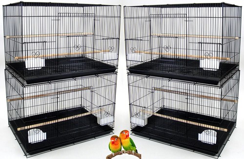 Lot large aviary canary - 4,