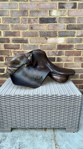 Martin wilkinson brown - wilkinson, horse