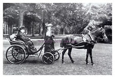 mm460 - Queen Victoria in her carriage - print 6x4
