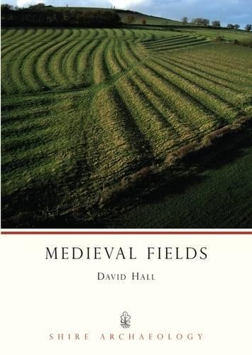 Medieval fields 28 shire - no., (shire