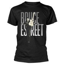 Bruce Springsteen E Street