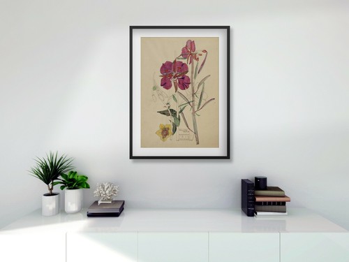 Rennie mackintosh framed - mackintosh,