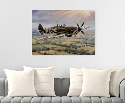 Spitfire style plane aircraft - style,
