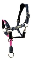 Anatomical Leather Horse