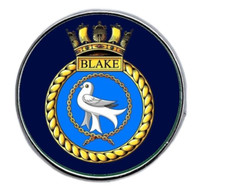 HMS Blake Royal Navy Military domed Lapel Pin Badge 25mm