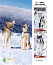 Sled Dogs Siberian Husky