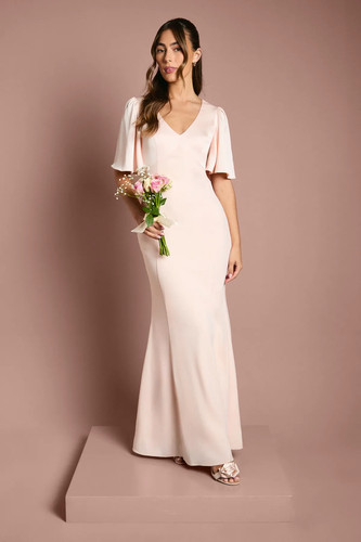 Coast blush line dress - coast, a-line