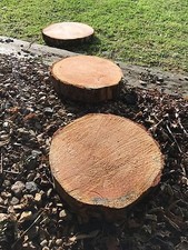 Large wooden log - 2,